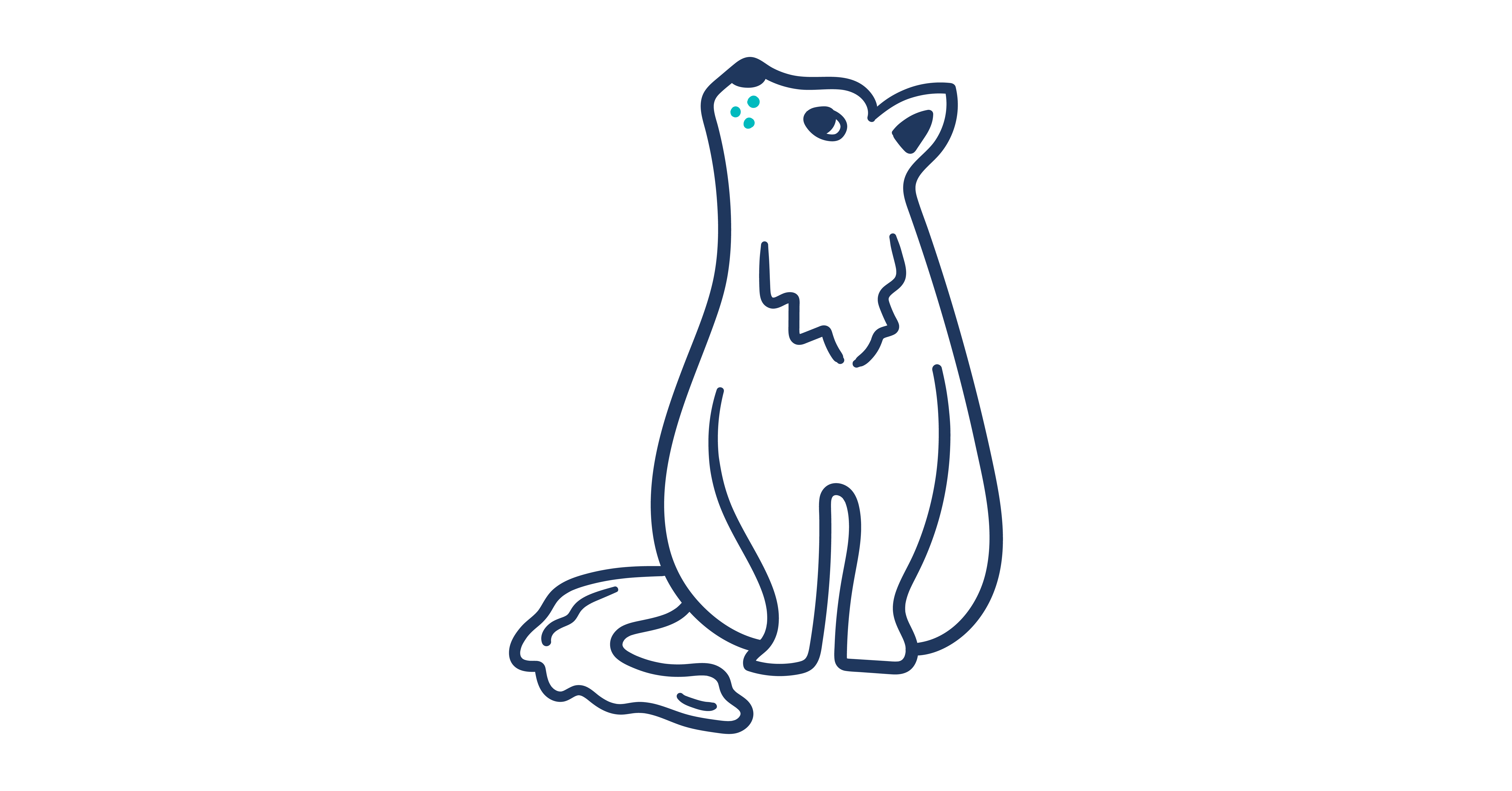 The image shows an illustration of a cat looking towards the sky.